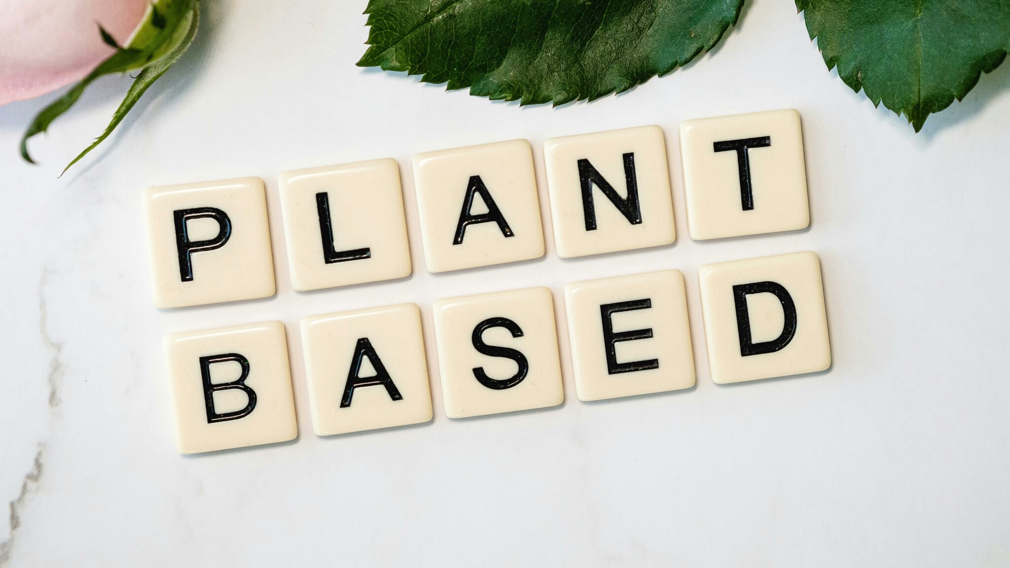 Blog 3 Plant Based